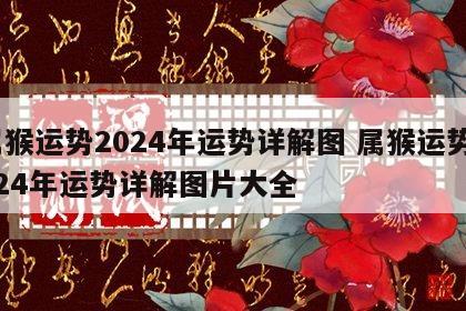 属猴运势2024年运势详解图 属猴运势2024年运势详解图片大全