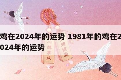 鸡在2024年的运势 1981年的鸡在2024年的运势