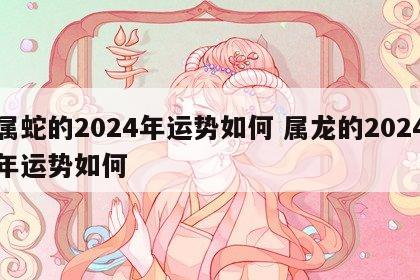属蛇的2024年运势如何 属龙的2024年运势如何