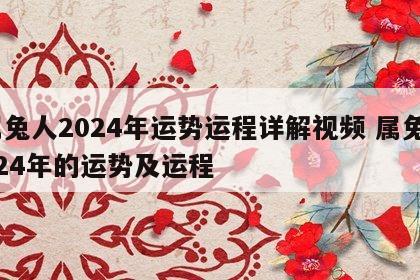 属兔人2024年运势运程详解视频 属兔2024年的运势及运程