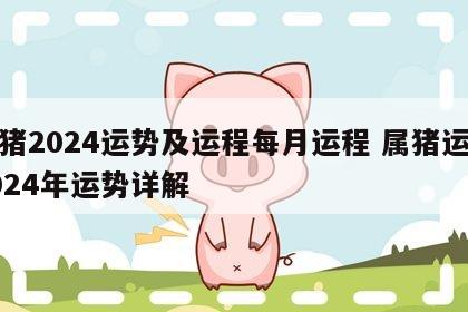 属猪2024运势及运程每月运程 属猪运势2024年运势详解