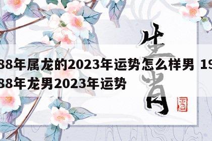 88年属龙的2023年运势怎么样男 1988年龙男2023年运势