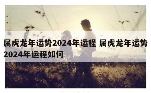 属虎龙年运势2024年运程 属虎龙年运势2024年运程如何