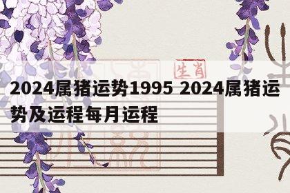 2024属猪运势1995 2024属猪运势及运程每月运程