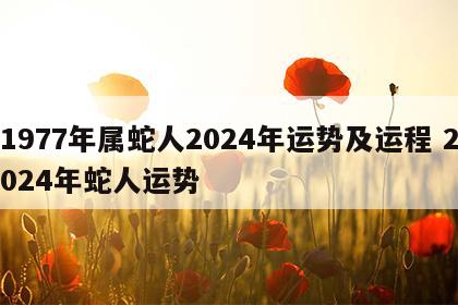 1977年属蛇人2024年运势及运程 2024年蛇人运势