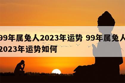 99年属兔人2023年运势 99年属兔人2023年运势如何