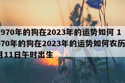 1970年的狗在2023年的运势如何 1970年的狗在2023年的运势如何农历8月11日午时出生