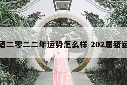 属猪二零二二年运势怎么样 202属猪运势