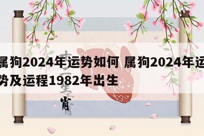 属狗2024年运势如何 属狗2024年运势及运程1982年出生
