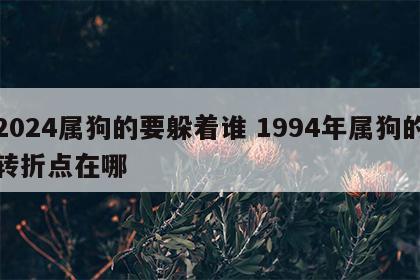 2024属狗的要躲着谁 1994年属狗的转折点在哪