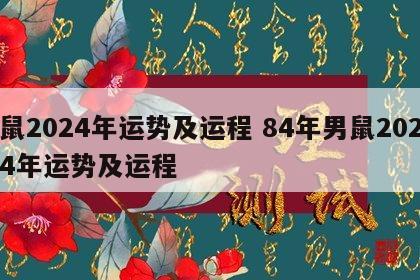 鼠2024年运势及运程 84年男鼠2024年运势及运程