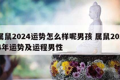 属鼠2024运势怎么样呢男孩 属鼠2024年运势及运程男性