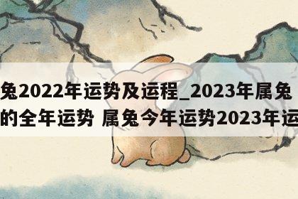 属兔2022年运势及运程_2023年属兔人的全年运势 属兔今年运势2023年运势
