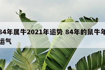 84年属牛2021年运势 84年的鼠牛年运气