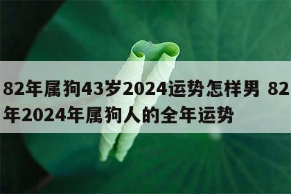 82年属狗43岁2024运势怎样男 82年2024年属狗人的全年运势