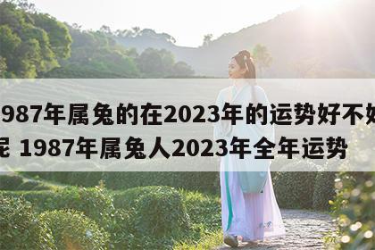 1987年属兔的在2023年的运势好不好呢 1987年属兔人2023年全年运势