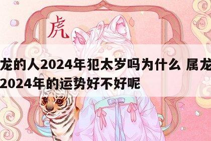 属龙的人2024年犯太岁吗为什么 属龙的在2024年的运势好不好呢