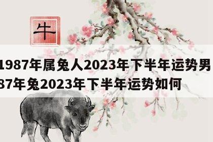 1987年属兔人2023年下半年运势男 87年兔2023年下半年运势如何