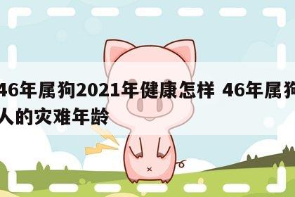 46年属狗2021年健康怎样 46年属狗人的灾难年龄