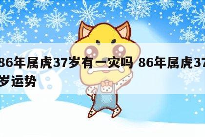 86年属虎37岁有一灾吗 86年属虎37岁运势