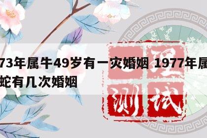 73年属牛49岁有一灾婚姻 1977年属蛇有几次婚姻