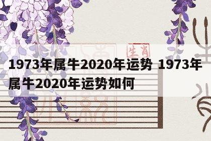 1973年属牛2020年运势 1973年属牛2020年运势如何