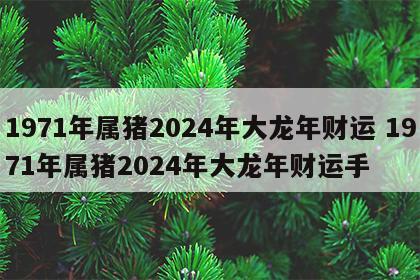 1971年属猪2024年大龙年财运 1971年属猪2024年大龙年财运手