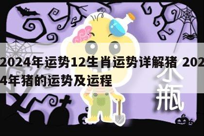 2024年运势12生肖运势详解猪 2024年猪的运势及运程