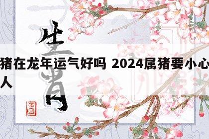 属猪在龙年运气好吗 2024属猪要小心一个人