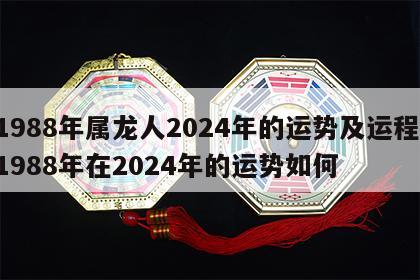 1988年属龙人2024年的运势及运程 1988年在2024年的运势如何