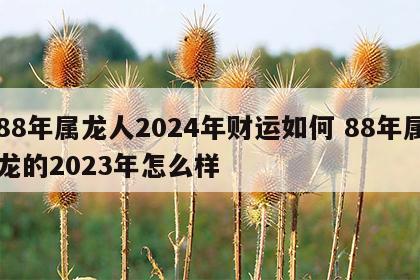 88年属龙人2024年财运如何 88年属龙的2023年怎么样