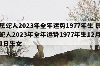 属蛇人2023年全年运势1977年生 属蛇人2023年全年运势1977年生12月1日生女