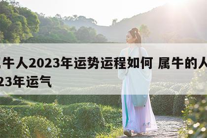 属牛人2023年运势运程如何 属牛的人2023年运气