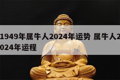 1949年属牛人2024年运势 属牛人2024年运程