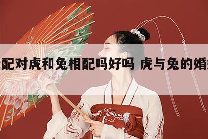 姻缘配对虎和兔相配吗好吗 虎与兔的婚姻合适吗