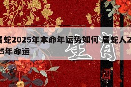 属蛇2025年本命年运势如何 属蛇人2025年命运