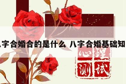 八字合婚合的是什么 八字合婚基础知识