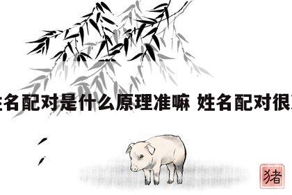 姓名配对是什么原理准嘛 姓名配对很准