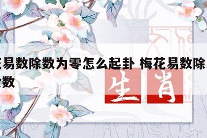 梅花易数除数为零怎么起卦 梅花易数除尽没有余数