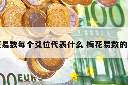 梅花易数每个爻位代表什么 梅花易数的卦象