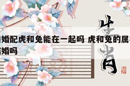 属相婚配虎和兔能在一起吗 虎和兔的属相适合结婚吗