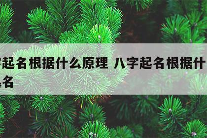 八字起名根据什么原理 八字起名根据什么原理起名