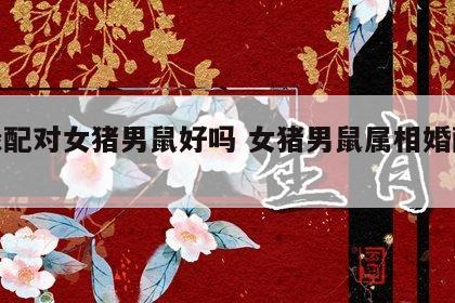 姻缘配对女猪男鼠好吗 女猪男鼠属相婚配好吗