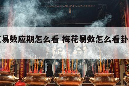 梅花易数应期怎么看 梅花易数怎么看卦象应期