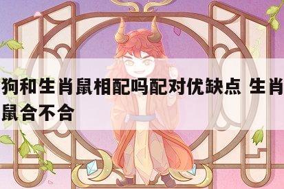 生肖狗和生肖鼠相配吗配对优缺点 生肖狗和生肖鼠合不合
