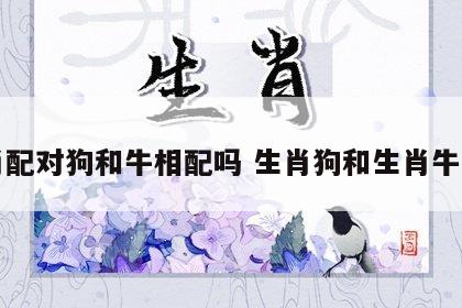 生肖配对狗和牛相配吗 生肖狗和生肖牛合吗