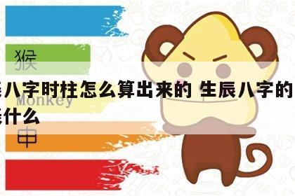 生辰八字时柱怎么算出来的 生辰八字的时柱代表什么