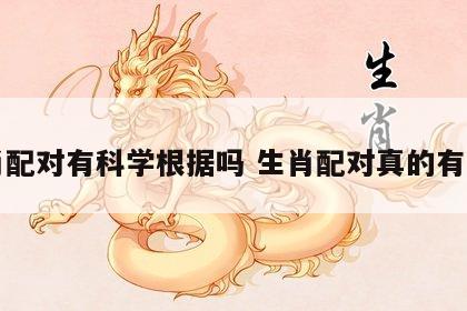 生肖配对有科学根据吗 生肖配对真的有用吗