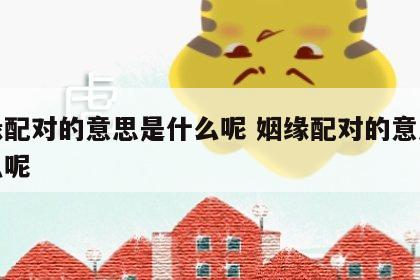 姻缘配对的意思是什么呢 姻缘配对的意思是什么呢