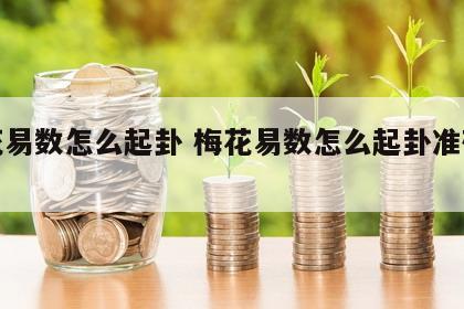 梅花易数怎么起卦 梅花易数怎么起卦准确率高